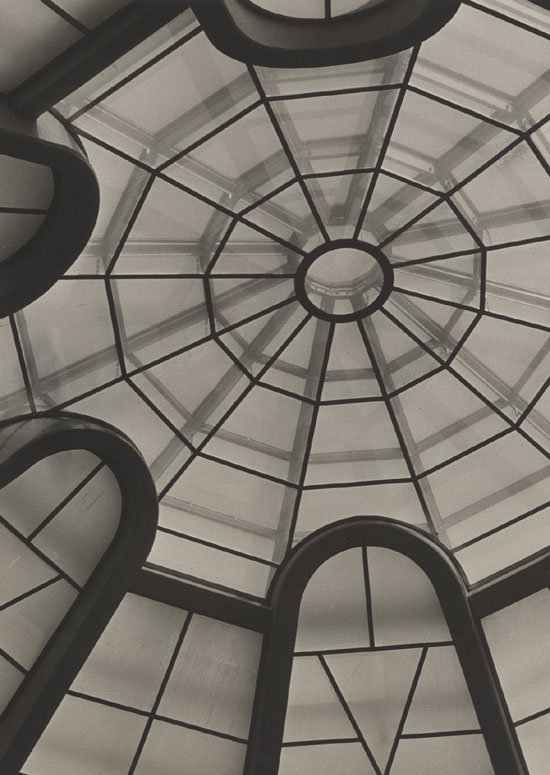 Large Abstract View of Ceiling of Guggenheim Museum