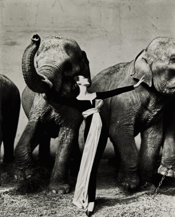 Lot 20, Richard Avedon's "Dovima with Elephants", sold for £50,000.