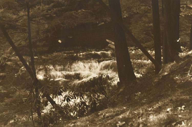 George A. Eisenman - Landscape