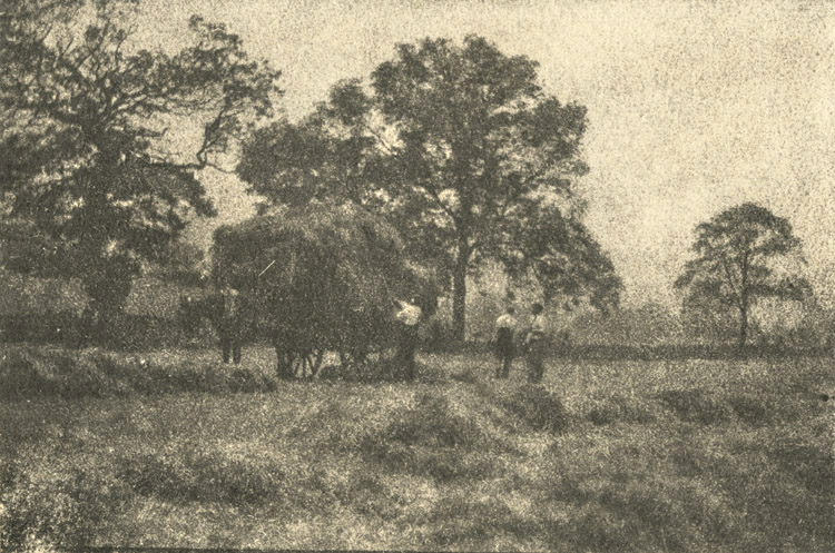 Francis Alfred Bolton - Haymaking