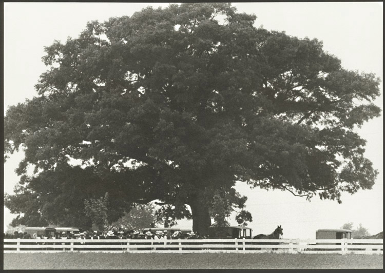 Barry Thumma - Amish Burial under the Family Tree