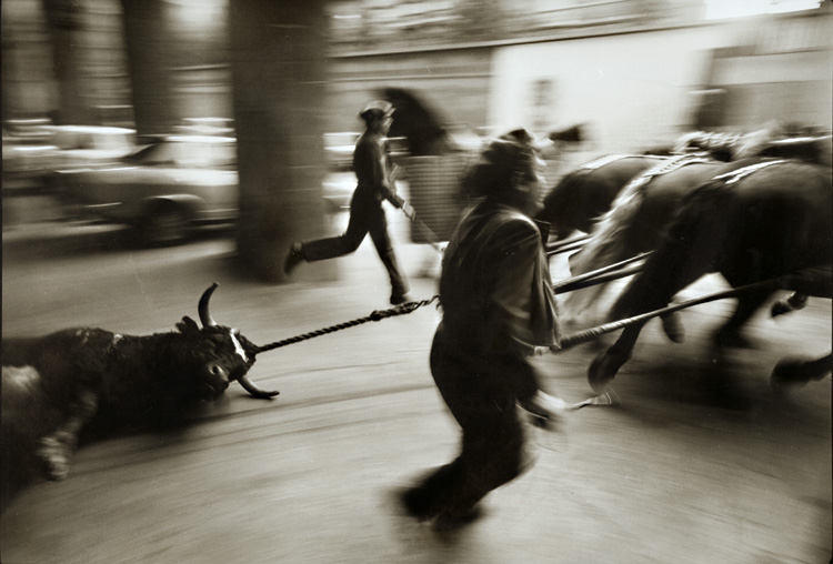 Dennis Carlyle Darling - Bull Ring, Barcelona, Spain