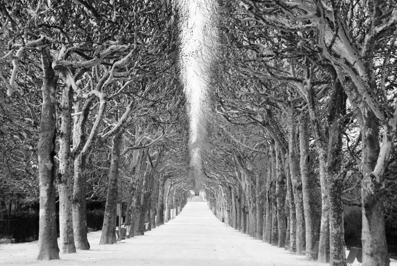 Stanko Abadžic - Trees and Snow (from the Paris Cycle)