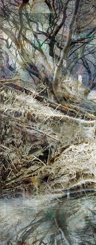Lisa Holden - Tree II (from Series "Constructed Landscapes") Lisa Holden - Tree II (from Series "Constructed Landscapes")
