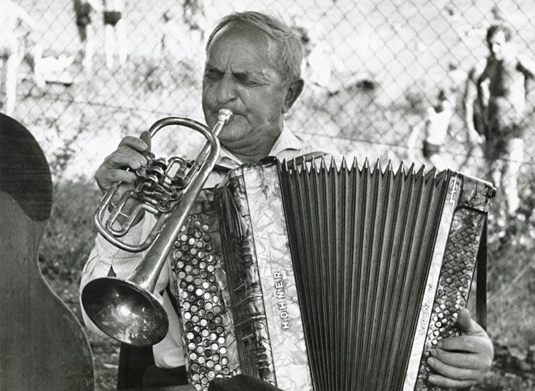 Frantisek Dostal - Musician