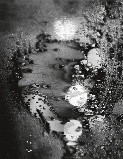 Minor White - Beginnings, Frosted Window, Rochester, NY