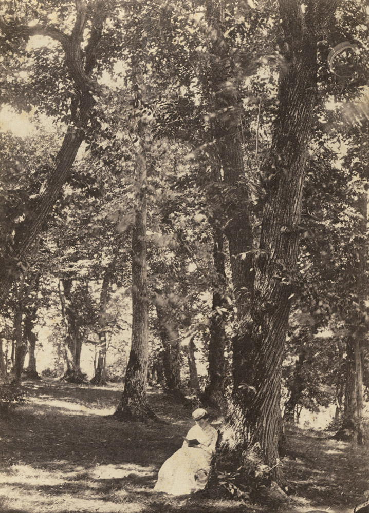 Anonymous - Reading under the Trees