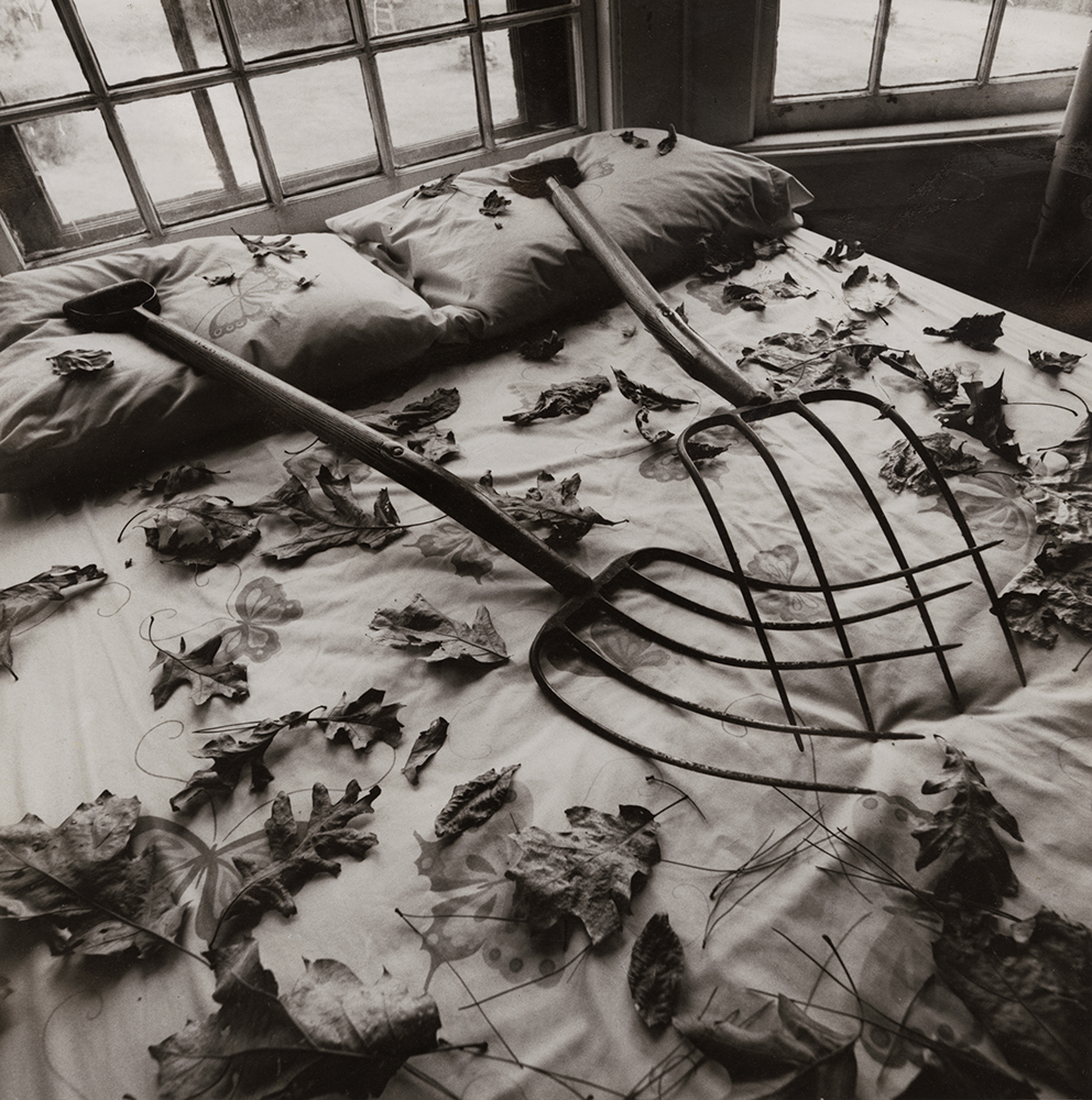 Arthur Tress - Making Leaves, Cold Spring, NY Arthur Tress - Making Leaves, Cold Spring, NY