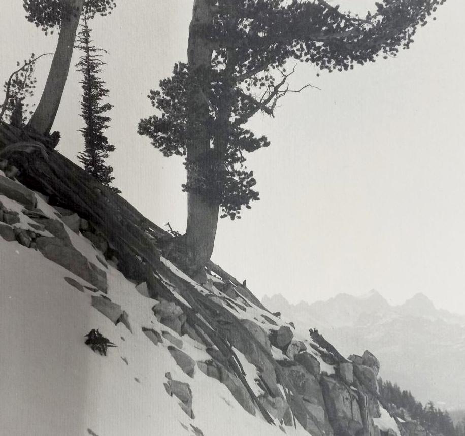 William Edward Dassonville - View North from Mammoth Lakes, a Town in the Sierra Nevada Mountains