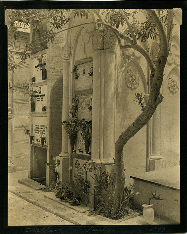 Thomas John Shillea - Curved Tree, Campo Santo, Sicily Thomas John Shillea - Curved Tree, Campo Santo, Sicily