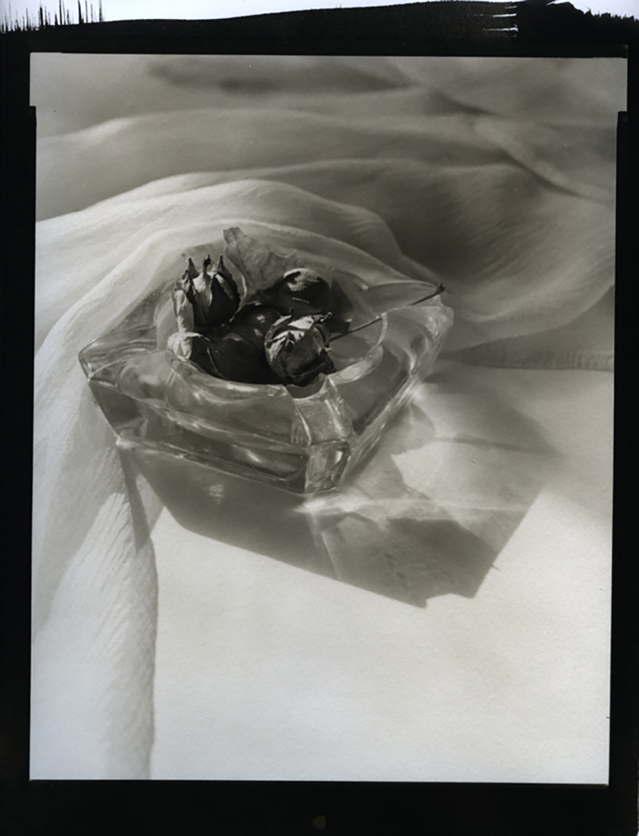 Thomas John Shillea - Ash Tray and Hazel Nuts Thomas John Shillea - Ash Tray and Hazel Nuts