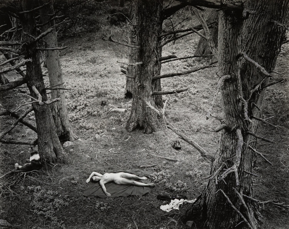 Wynn Bullock - Woman and Dog in Forest