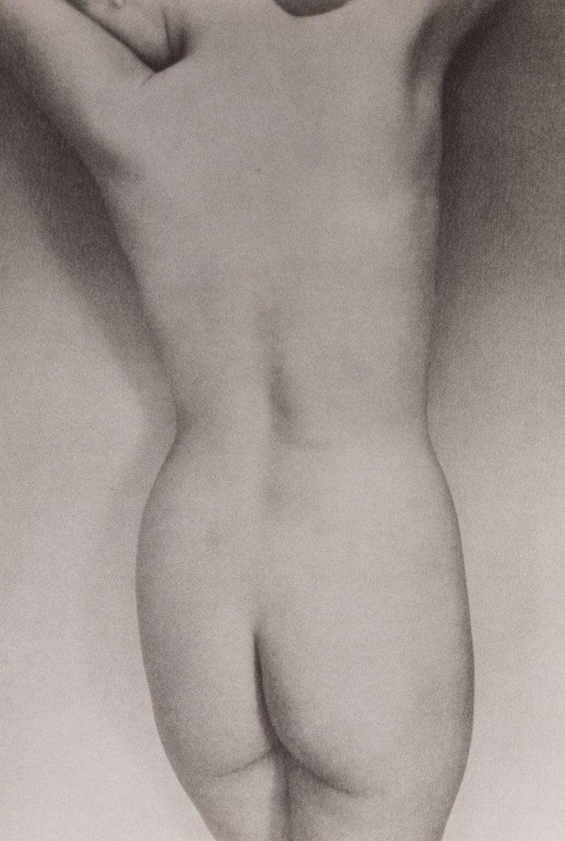Sheila Metzner - Elaine, Man Ray Nude