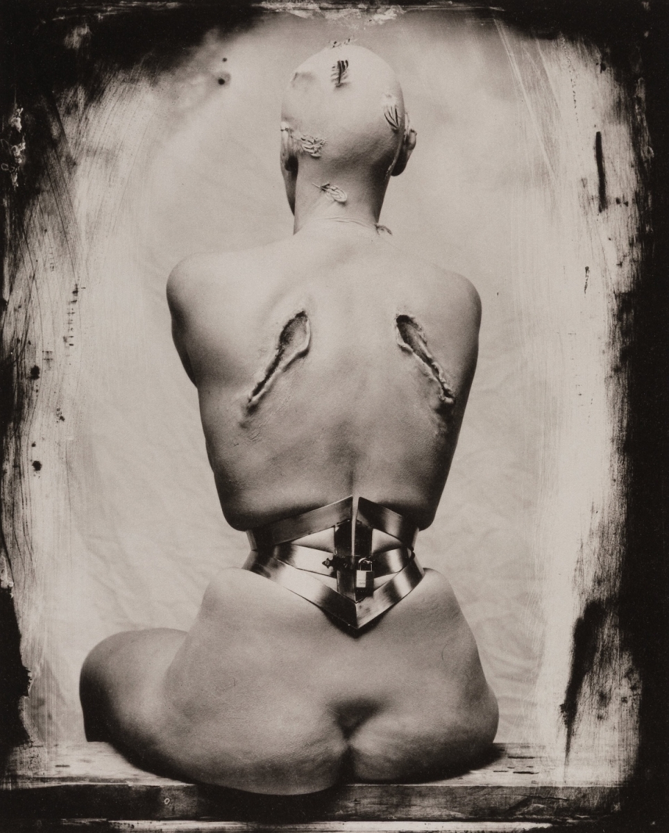 Joel Peter Witkin - Woman Once A Bird