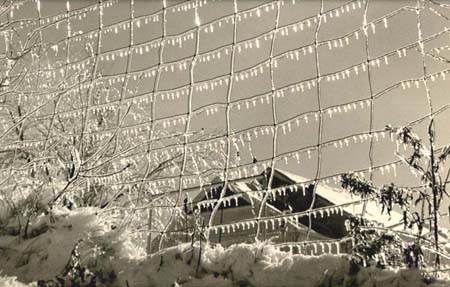 Frank J. Heller - Iced Fence