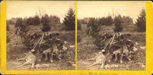 Deer Hunting