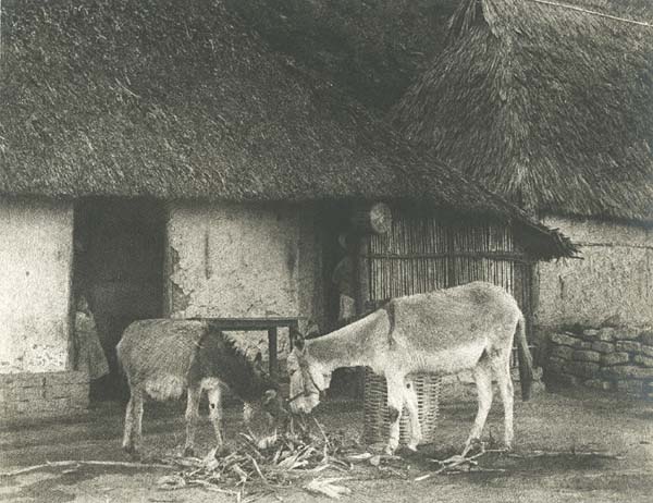 Llewellyn R. Lewis - A Mexican Scene