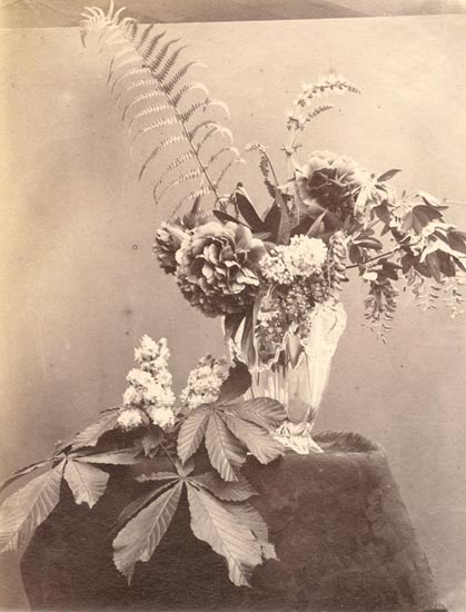 Anonymous - Still Life