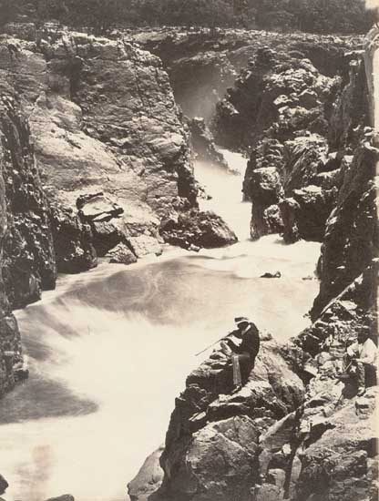 Elephant on Beat and The Goat's Leap