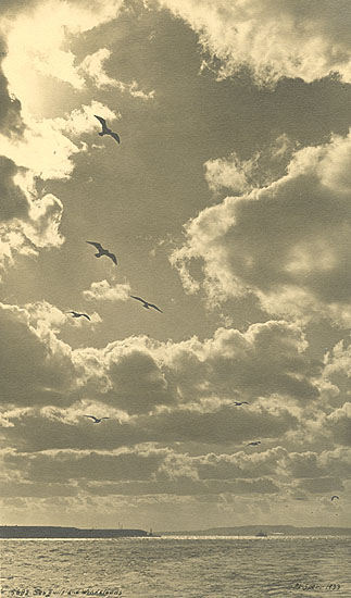 Percy Loomis Sperr - Seagulls and Wind Clouds