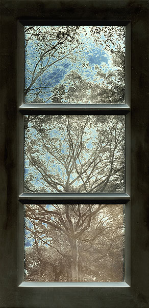 Jerry Spagnoli - Tree Study (Tryptic) Jerry Spagnoli - Tree Study (Tryptic)