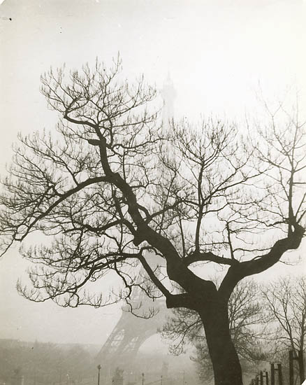 Geza Vandor - Tree in Front of Eiffel Tower, Paris Geza Vandor - Tree in Front of Eiffel Tower, Paris