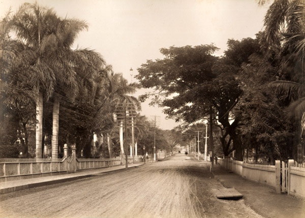 Anonymous - Road in Honolulu / Landscape in Oahu, Hawaii