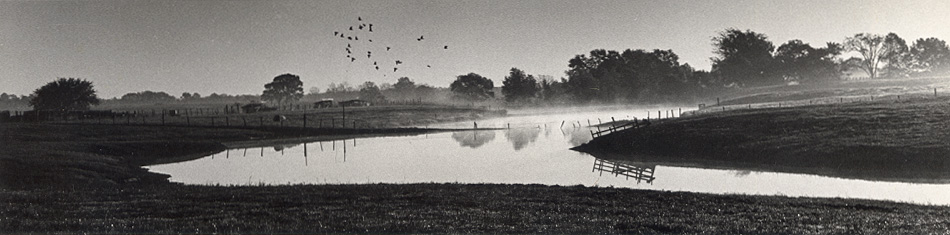 William Carter - Farm, Southern Illinois