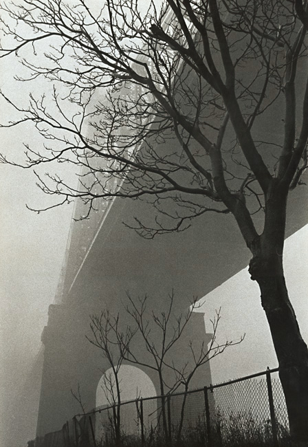 Susan McCartney - 59th Street Bridge in Fog, New York City, NY