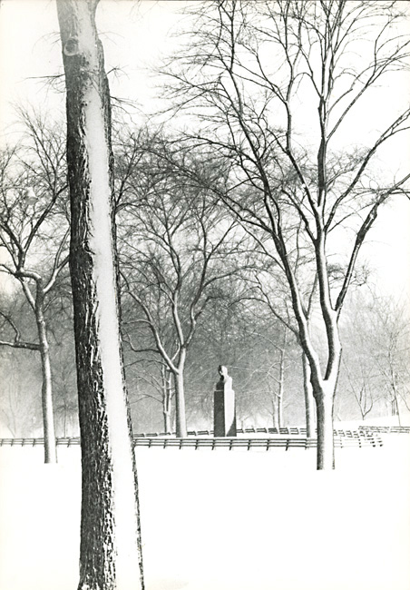 Susan McCartney - Central Park, NYC