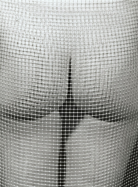 Marcel Marien - Untitled (Nude and Mesh) Marcel Marien - Untitled (Nude and Mesh)
